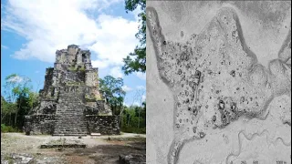 Hallan la ciudad perdida Maya y encuentran algo increíble