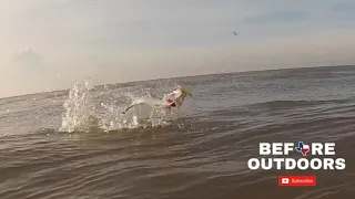 Topwater SPECKLED TROUT in the SURF (Catch Clean and Cook)