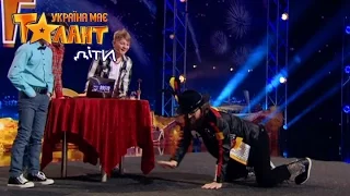 Something interesting - robot that can play with the cat - Got Talent 2017