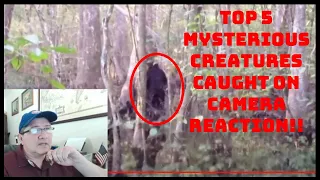 Top 5 mysterious creatures caught on camera | REACTION