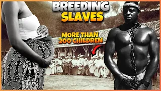 Breeding Slaves - The Hidden Secret