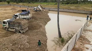 The End Filling Up Project By Komatsu Dozer DR51PX Plug 5Ton Dump Trucks