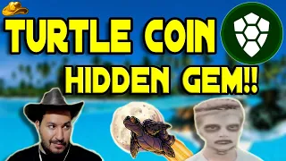 TurtleCoin A Hidden GEM!! | Smart Contract TRTL Coin V2.0