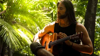 Movement - James R. Thomas (Official Music Video - A Journey into the Daintree Rainforest)