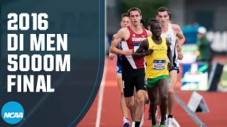 Men's 5000m - 2016 NCAA outdoor track and field championship