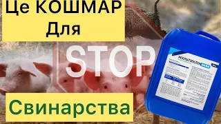 ЖАХІТТЯ‼️для кожного СВИНАРЯ Це найстрашніше❗️