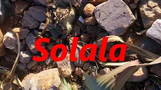 Solala by KOP  - (Walter "KOP" Sithole)