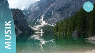 Naturens klanger - en promenad genom naturens rike med musik av Bruno Grönings vänner