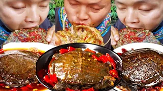 【ASMR MUKBANG】The guy challenged to eat braised Turtle, Spicy and Delicious| Tik Tok