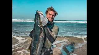 Biggest Yellow Tail on a shore dive| Spearfishing South Africa