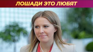 Ксению Собчак сняли валяющейся в грязи - Новости шоу-бизнеса