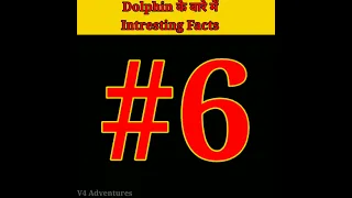 Dolphin के बारे में Top 10 Interesting Facts 😱😱 #shorts #v4adventures #youtubeshorts #newfacts2023