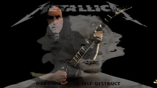 Metallica - Halo on Fire - Guitar Cover by Kevin M Buck