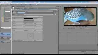 Как делать рамку к видео в программе Sony Vegas Pro 12. 0.  Izuchenie program.