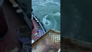 real whirlpool)))