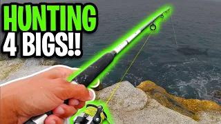 On The Hunt For Big Fish At Newport Beach Jetty! | September 2021