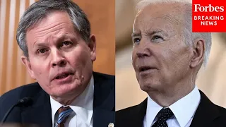 'Go Back And Watch The Replays': Steve Daines Calls Out Biden Over Policy Changes At The Border