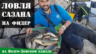 Ловля сазана на фидер на Волго-Донском канале осенью: Рыболовный дневник