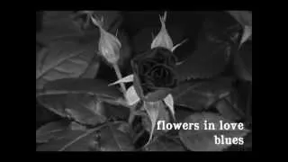 "Flowers In Love Blues" - San Giuseppe american recording (original song)