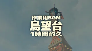 ゼルダの伝説 ティアーズオブザキングダム 鳥望台BGM 1時間耐久 / Zelda Tears of the Kingdom Skyview Tower Music 1 Hour Loop