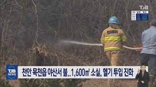 천안 목천읍 야산서 불..1,600㎡ 소실, 헬기 투입 진화｜ TJB 대전·충남·세종뉴스