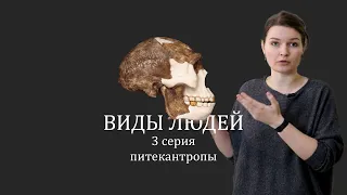 ВИДЫ ЛЮДЕЙ. 3 серия Питекантропы. Елена Сударикова