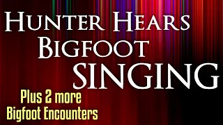 Bigfoot Heard Singing by Hunter, Bigfoot in the Corn and Bigfoot at the Guardrail - 3 Encounters