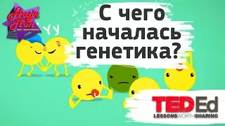 😀 🤢 Как появилась генетика? или про горох Менделя... [ ted ed на русском ]