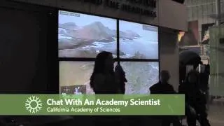 Gulf Of Farallones: Chat with an Academy Scientist | California Academy of Sciences