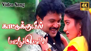 Kaattukkuyil Paattucholla 4K | காட்டுக்குயில் பாட்டுச்சொல்ல | Prabhu, Sukanya | Love song |Ilayaraja