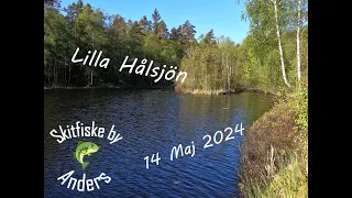 Regnbåge Hålsjön 14 Maj