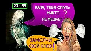 ПОПУГАЙ ДОВЕЛ ХОЗЯЙКУ ДО ТОЧКИ КИПЕНИЯ 😱 THE PARROT ANGERED THE HOSTESS