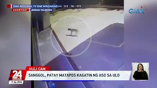 Sanggol, patay matapos kagatin ng aso sa ulo | 24 Oras