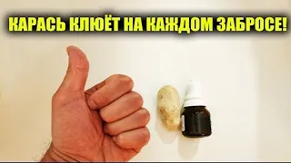 УШЛЫЕ РЫБАКИ ДЕРЖАЛИ ЭТО В СЕКРЕТЕ! СУПЕР НАСАДКА! СЕКРЕТНАЯ НАСАДКА ДЛЯ ЛОВЛИ КАРАСЯ!