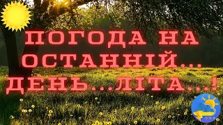 Дихати стане легше: синоптик потішила українців прогнозом на кінець літа