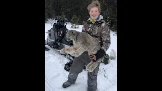 Lynx Trapping in Alaska