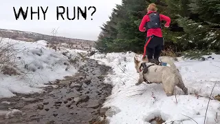 Want to enjoy every run? Be more dog.