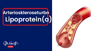 Lipoprotein(a) - Turbo der Gefäßverkalkung! (Arteriosklerose) | Dr.Heart