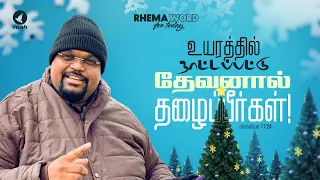 உயரத்தில் நாட்டப்பட்டு தேவனால் தழைப்பீர்கள்! #rhemaword #ruahtv #alwinthomas