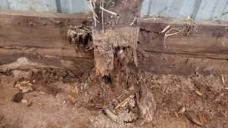 Pole Barn Post Repair