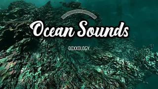 Oceanside Waves Sound