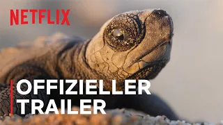 Unser Planet II | Offizieller Trailer | Netflix