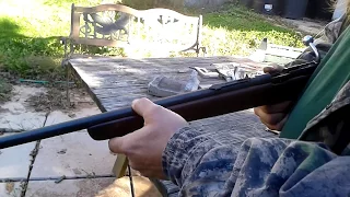 22 mag shot out of a 22 long rifle