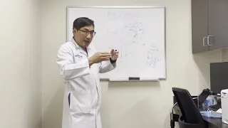 Mechanism of Adies tonic pupil