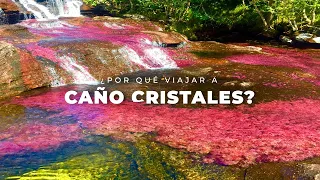 ¿Por qué viajar a Caño Cristales?