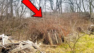 Her Neighbors TRASHED IT! STUNNED with What we FOUND BURIED in this Overgrown Grass