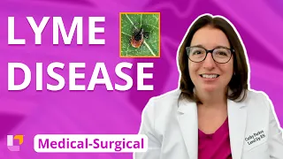 Lyme Disease: Integumentary System - Medical Surgical (Med-Surg) | @LevelUpRN