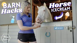 Summer Barn Hacks! Horse Ice cream? This Esme