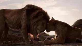 Lion King 2019 - Circle of life (Standard Arabic) Subs & Trans