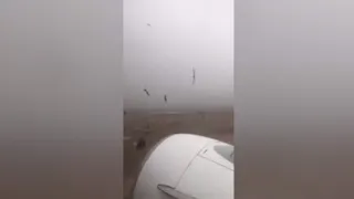 🚨 BIRDSTRIKE on TAKEOFF caught on video passenger window view